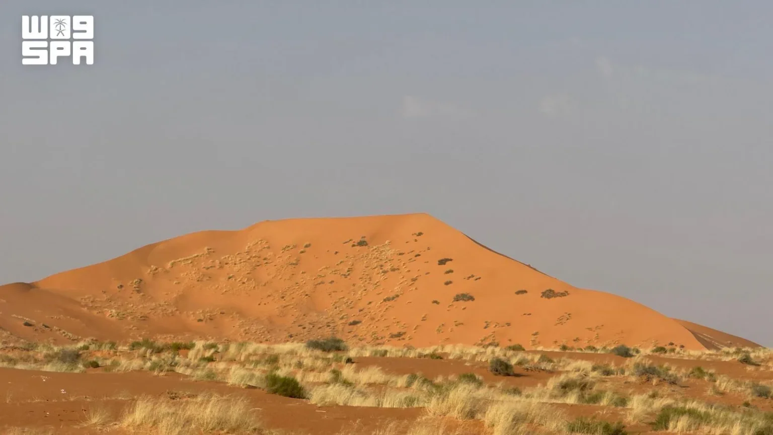 نفود الأشياخ.. أعلى قمة رملية في الدهناء بارتفاع 779 متراً