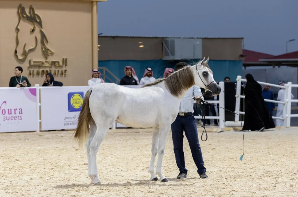 الرياض على موعد مع الأصالة.. البطولة الوطنية لجمال الخيل العربية تنطلق 29 سبتمبر الرياض على موعد مع الأصالة.. البطولة الوطنية لجمال الخيل العربية تنطلق 29 سبتمبر