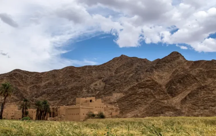 نقوش وآثار “حبونا”..حضارة تحكيها شواهد الطين والصخر عبر القرون