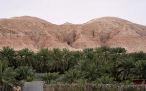 ليس في الجنوب فقط.. الشرق السعودي يضم 10 جبال لا يعرفها الكثير.. شاهد التفاصيل